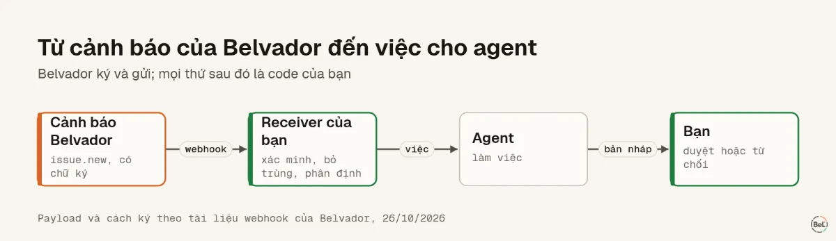 Từ một cảnh báo của Belvador đến một việc cho agent
