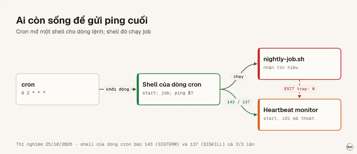 Cây tiến trình từ cron tới job, cho thấy tiến trình nào còn gửi được ping cuối sau mỗi tín hiệu